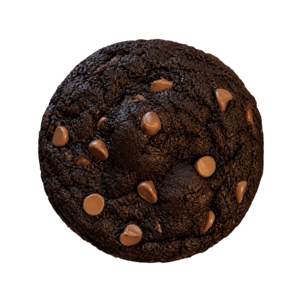 Double Chocolate Chunk Cookie
